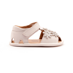 Old Soles Wild Flower