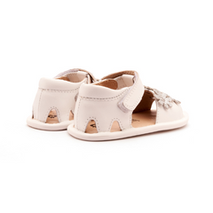 Old Soles Wild Flower