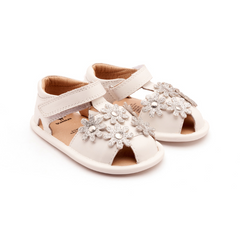 Old Soles Wild Flower