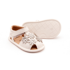 Old Soles Wild Flower