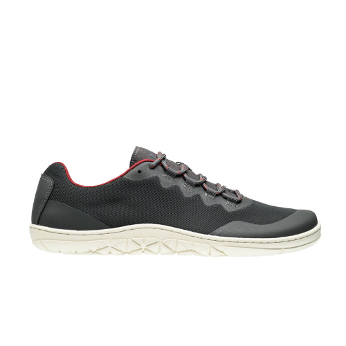 Freet Flex 2